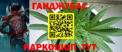 spice Кимры