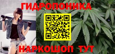 а пвп мука Кингисепп