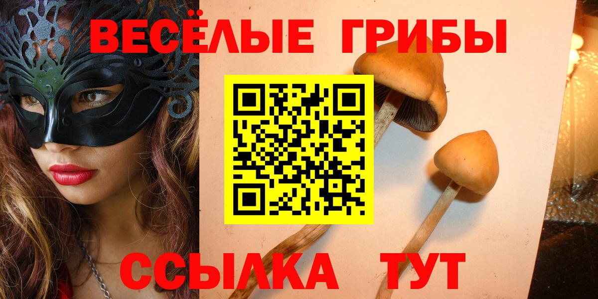 Псилоцибиновые грибы GOLDEN TEACHER  Вход с VPN  закладка  Псилоцибиновые грибы мицелий  Кашира 
